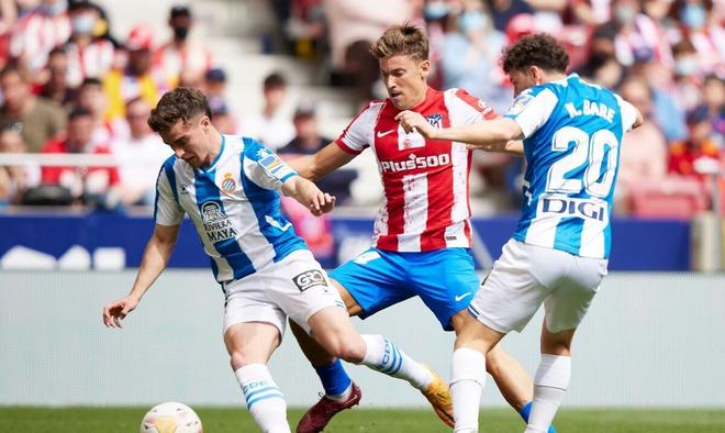 的席位鋪平 的席位鋪平