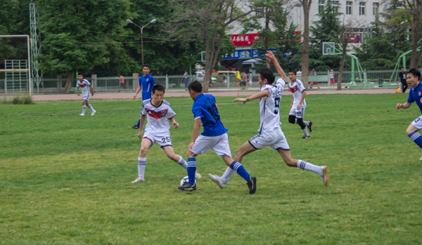 协杯的对阵 协杯的对阵