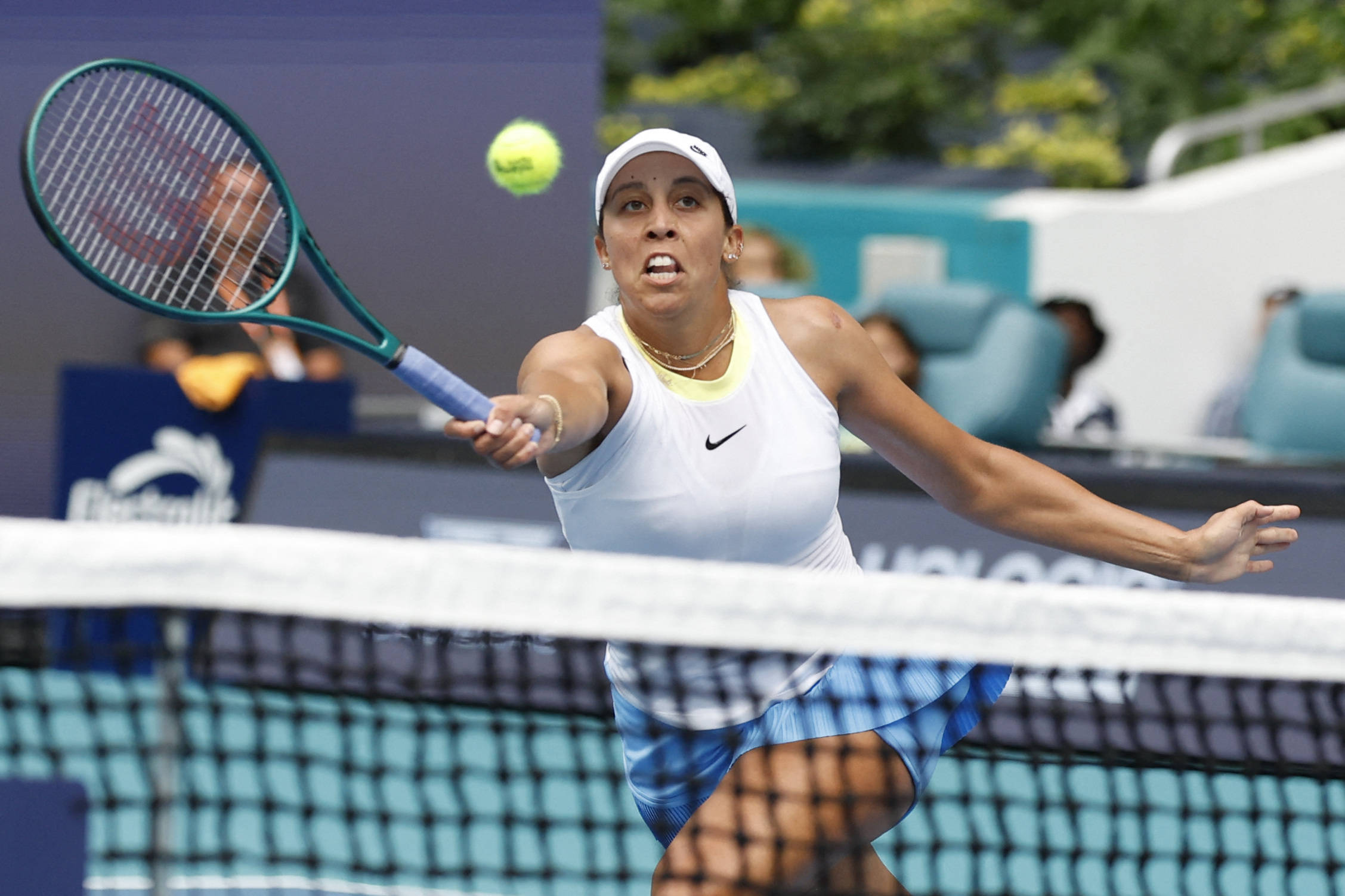 研究表明 研究表明